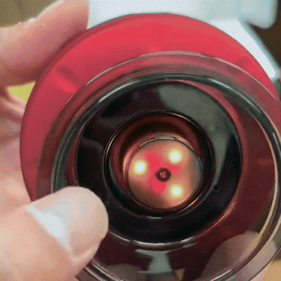 Won't Ever Fall Down